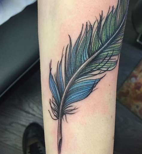 Blue Jay Feather Meaning Symbolism And Practical Uses