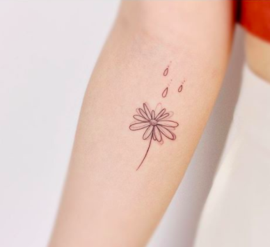 Top 107 Best Daisy Tattoos 2022 Inspiration Guide  Next Luxury