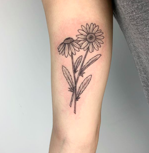 Premium Vector  Chamomile by hand drawing daisy wheelxafloral tattoo  highly detailed in line art style concept