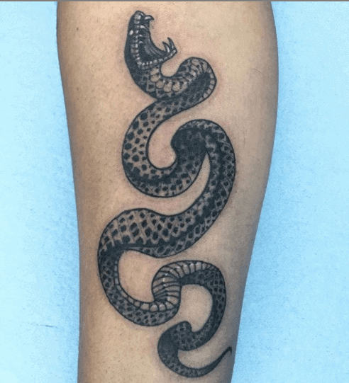 Premium Vector  Set of snakes viper venom black tattoo collections  illustration