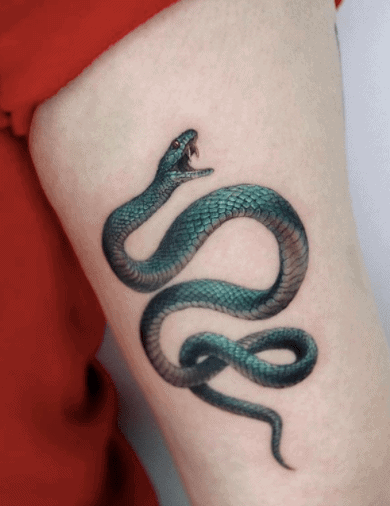 Healed snake skin 🐍 👉🏻swipe #healedtattoo #snaketattoo #scales #snakeskin  #tattoodesign #snakes #customdesignedtattoo #customt... | Instagram