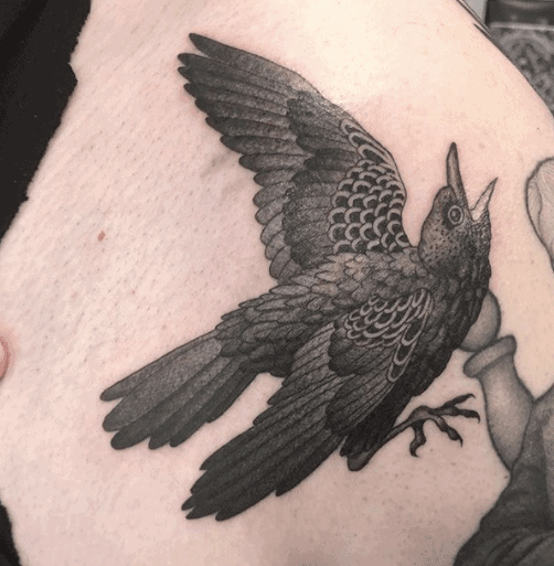 Crow Tattoo Design by 6uNiCoRnCrOsSiNg9 on DeviantArt