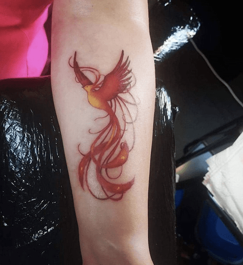 The Black  Red Phoenix  Revolt Tattoos  Joey Hamilton   YouTube