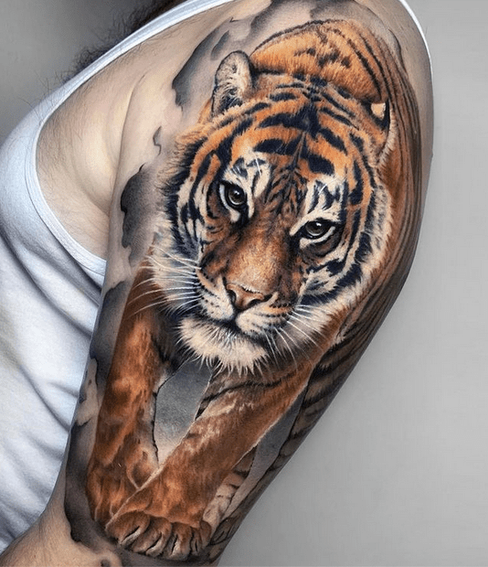 Explore the 50 Best tiger Tattoo Ideas 2018  Tattoodo