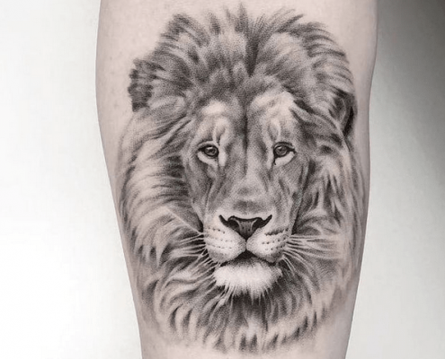 Gentle small lion tattoo by @tattoo_is_artt