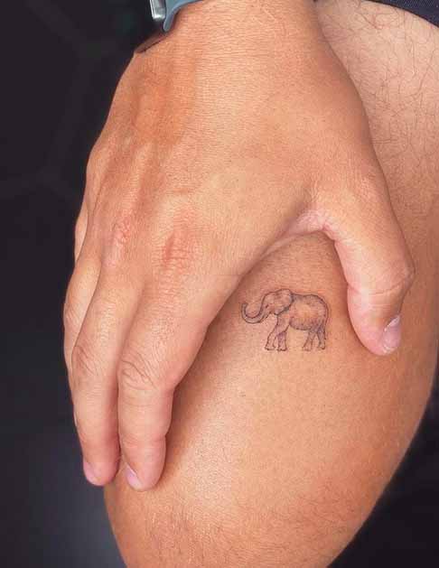 Tattoo tagged with fine line small elephant single needle line art  animal tiny joeyhill ifttt little inner forearm  inkedappcom