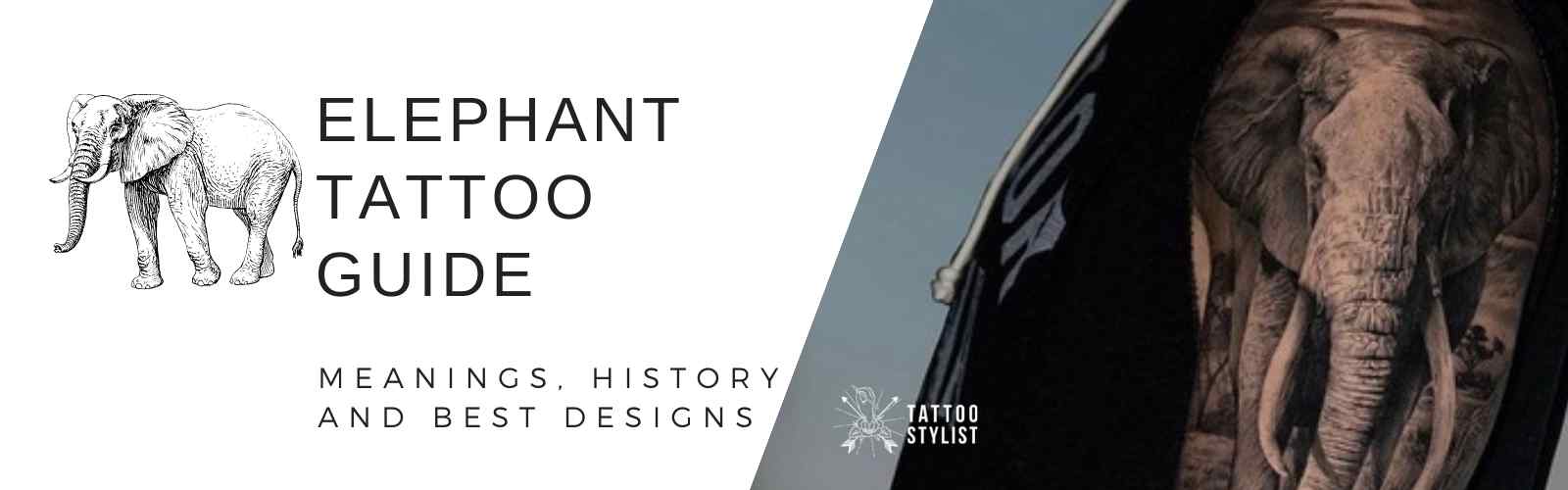 elephant tattoo guide featured image