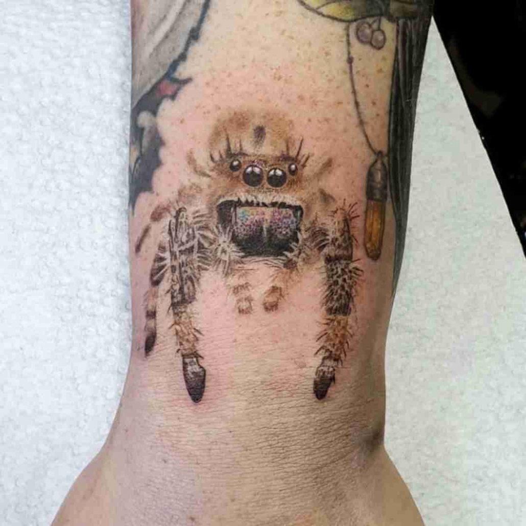 Jumping Spider Tattoo by aktat2 on DeviantArt