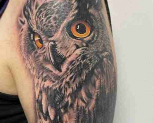 Shoulder great horned owl tattoo by @paulrobinsonink
